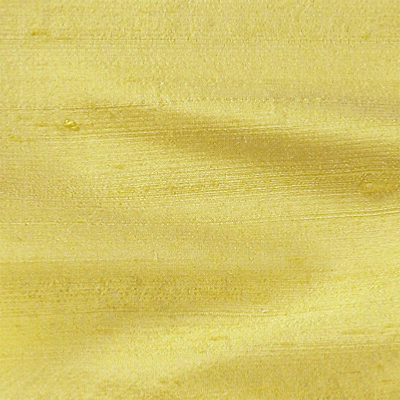 Doupion Indien - Les jaunes