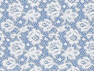 Dentelle cluny broderie