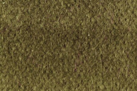 Velours de Coton Unis 778MOSS            