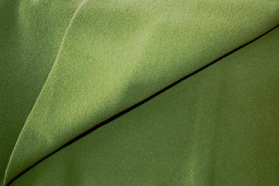 Tissu Velours de Laine vert tilleul