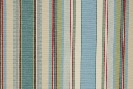 Coton Raye Rimini F657-01