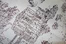 Jacquard 30122-2 RUBELLI (Toile de Venise)