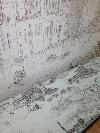 Jacquard 30122-2 RUBELLI (Toile de Venise)