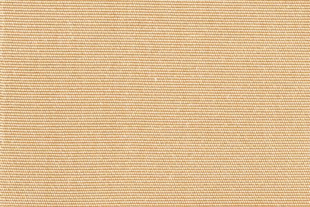 Polyester 322061-0-F1-X