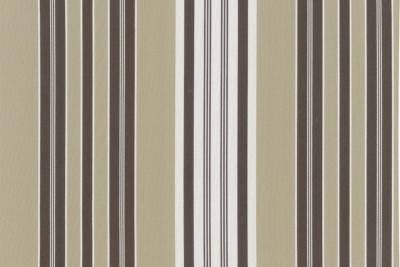 rayure fil teint-30369_002-RUBELLI_TRAFALGAR-Legno