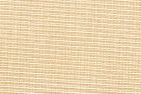 Polyester 322061-0-P2-X