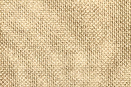 Velours Bovary Chenille Damier NCF3690-12