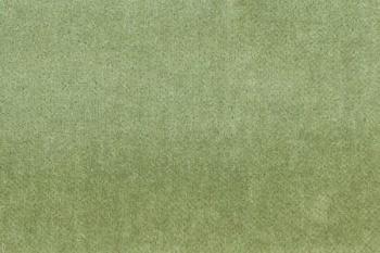 Velours de Coton uni - Les tons Verts